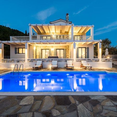 Villa Idealia Panormos  Extérieur photo