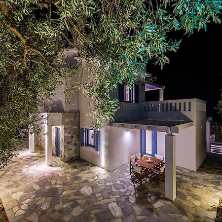 Villa Idealia Panormos  Extérieur photo